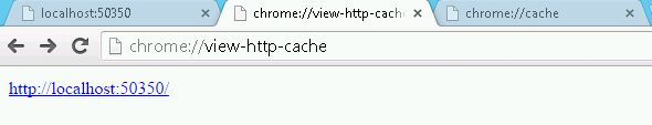 See Cached Files In Chrome